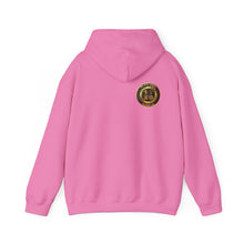 Load image into Gallery viewer, Unisex Heavy Blend™ Hooded Sweatshirt - BIG UA Graphic
